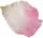 petal 5b petal 5b